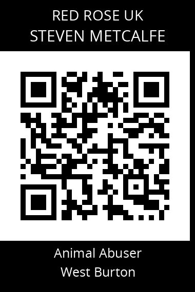 QR code for steven-metcalfe