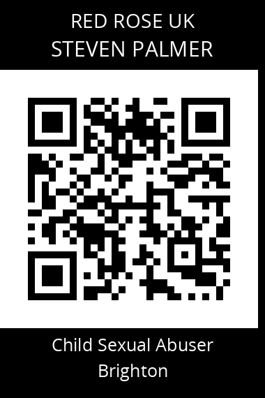 QR code for steven-palmer-2
