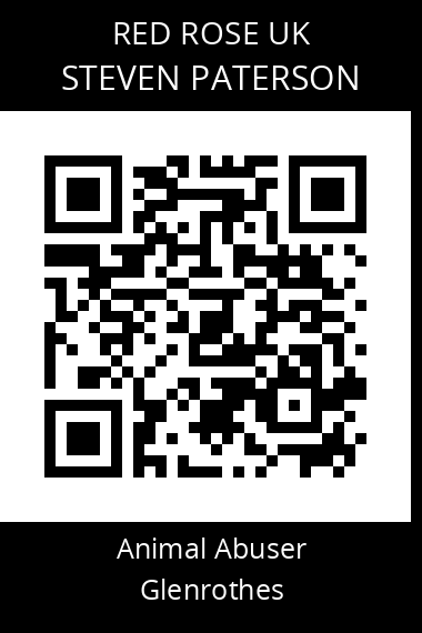 QR code for steven-paterson-1