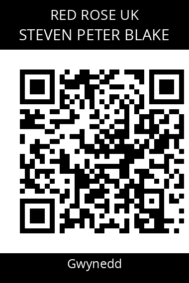 QR code for steven-peter-blake