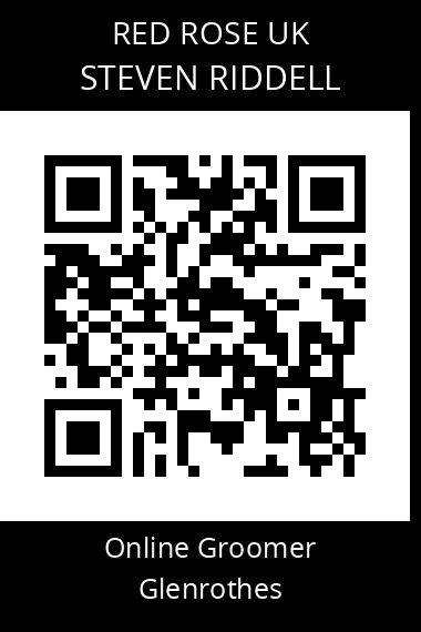 QR code for steven-riddell-1