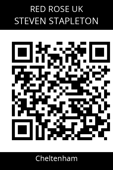 QR code for steven-stapleton-vmznpg