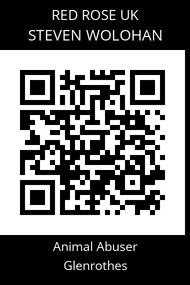 QR code for steven-wolohan