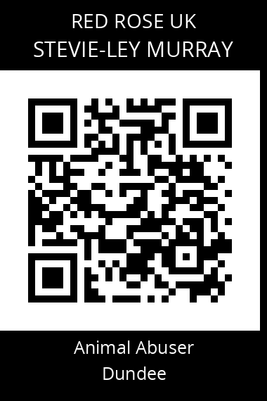 QR code for stevie-ley-murray