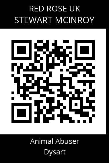 QR code for stewart-mcinroy