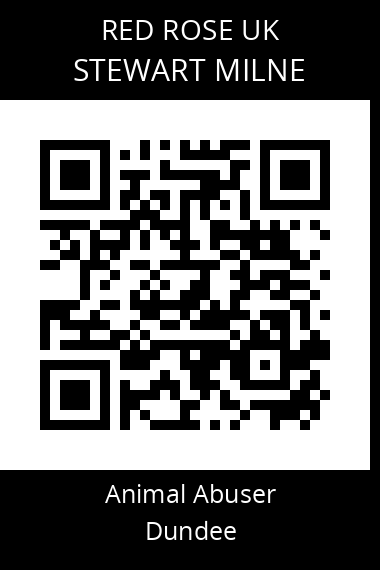 QR code for stewart-milne