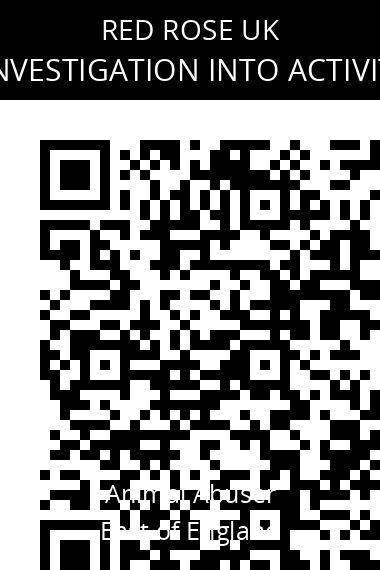 QR code for stolen-puppies-found-during-police-investigation-into-activities-of-a-prolific-traveller-crime-gang
