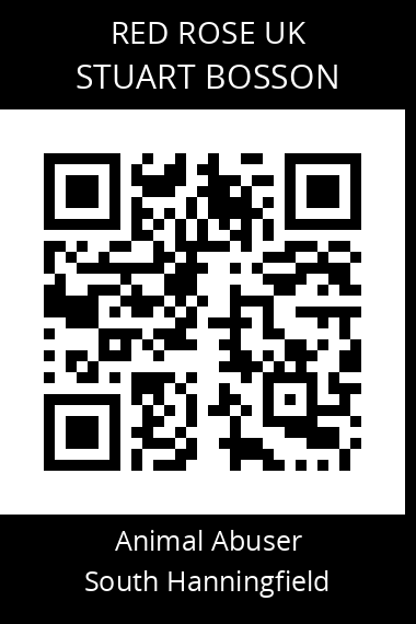 QR code for stuart-bosson