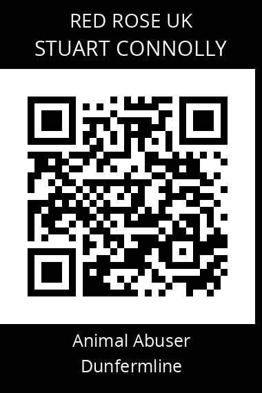 QR code for stuart-connolly