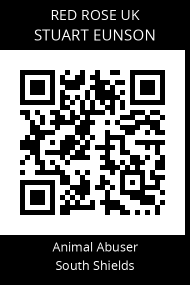 QR code for stuart-eunson