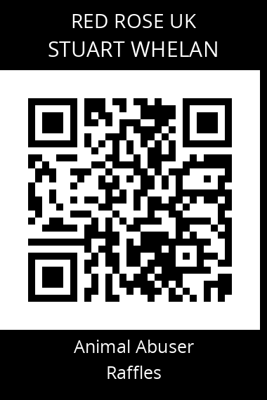 QR code for stuart-whelan