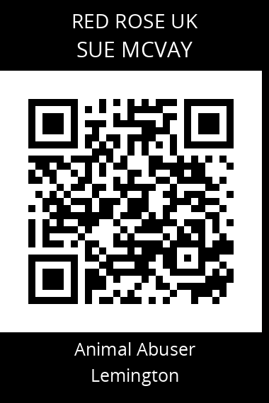 QR code for sue-mcvay