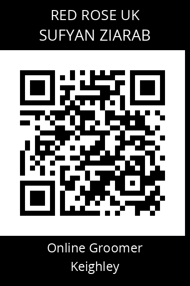 QR code for sufyan-ziarab