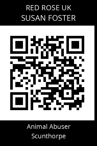 QR code for susan-foster