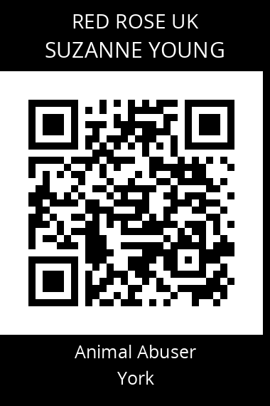 QR code for suzanne-young
