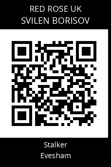 QR code for svilen-borisov