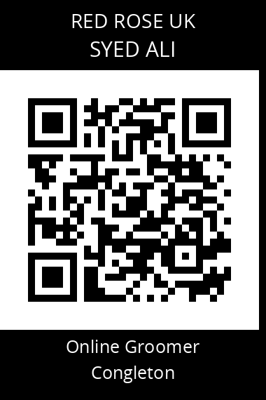 QR code for syed-ali-1