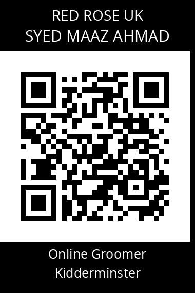QR code for syed-maaz-ahmad