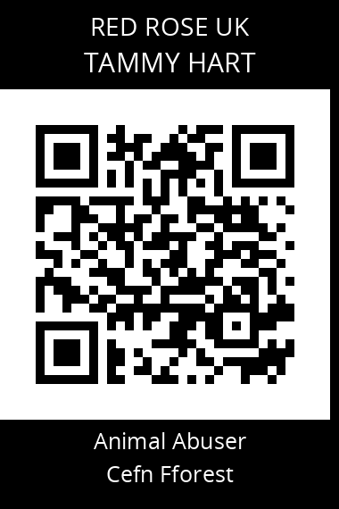 QR code for tammy-hart