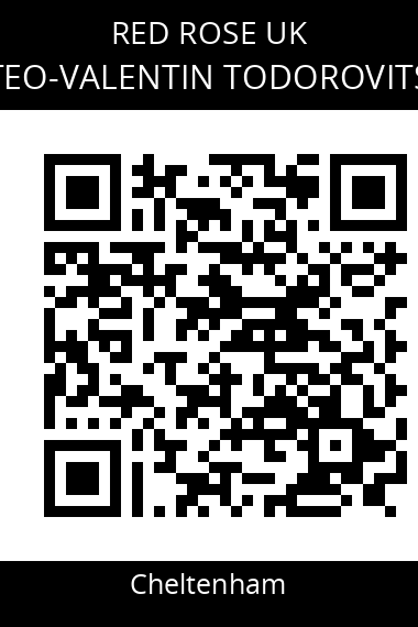 QR code for teo-valentin-todorovits