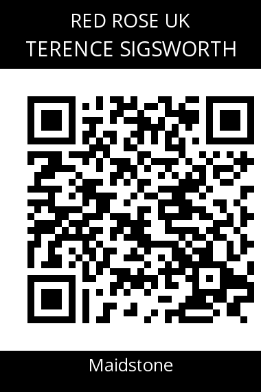 QR code for terence-sigsworth-luzxyv