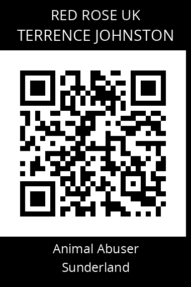 QR code for terrence-johnston