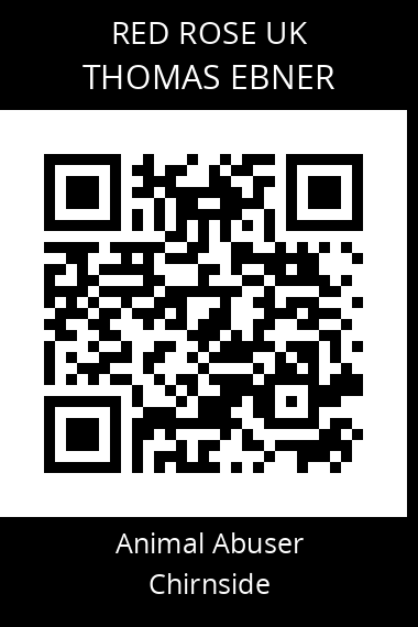 QR code for thomas-ebner-2