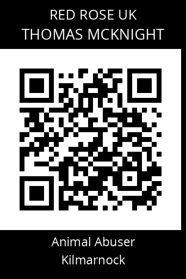 QR code for thomas-mcknight