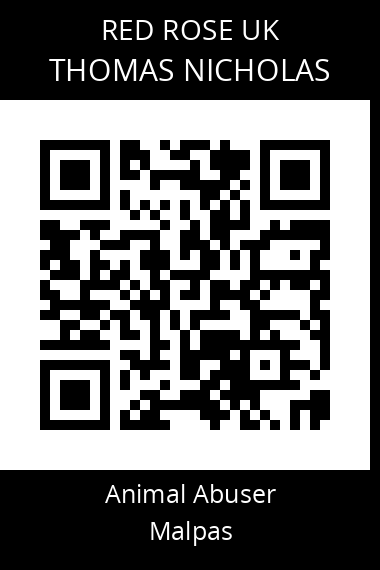 QR code for thomas-nicholas