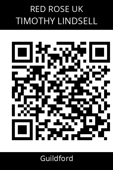 QR code for timothy-lindsell-l95qco