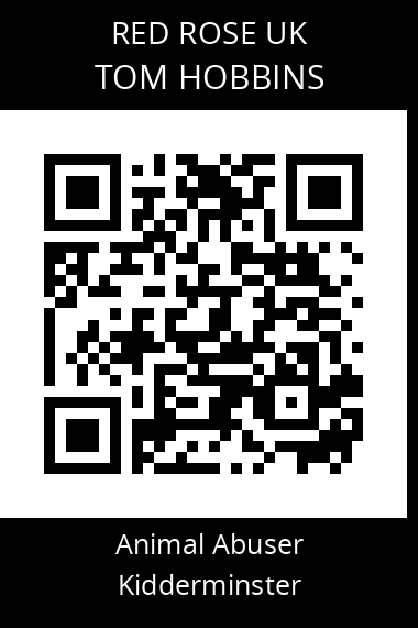 QR code for tom-hobbins