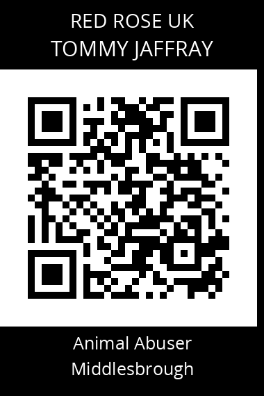 QR code for tommy-jaffray