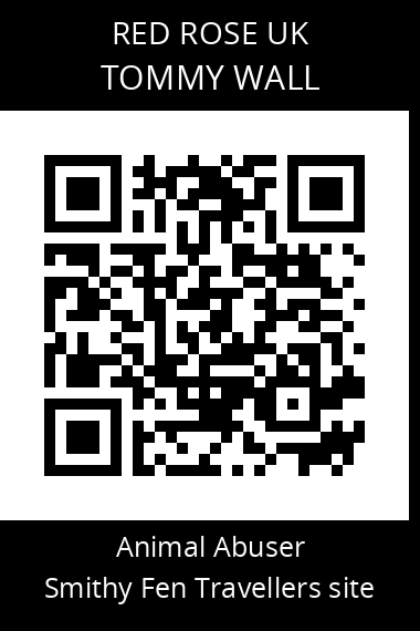 QR code for tommy-wall