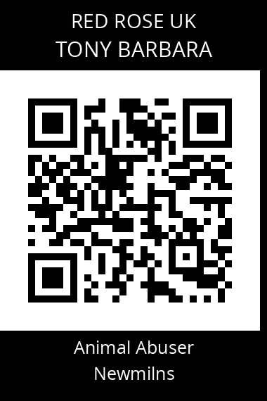 QR code for tony-barbara