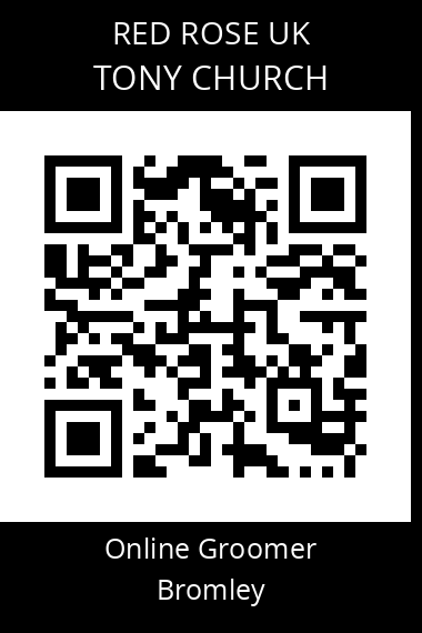 QR code for tony-church