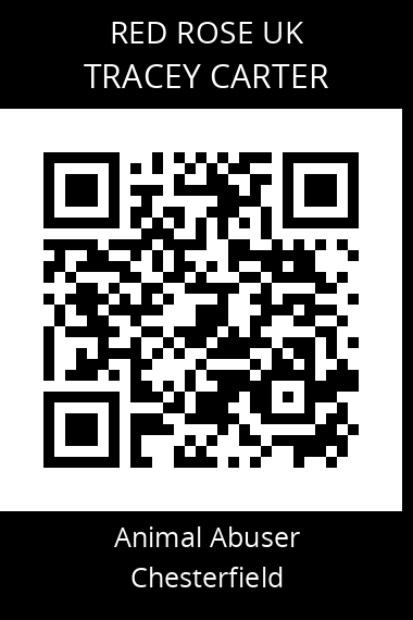QR code for tracey-carter