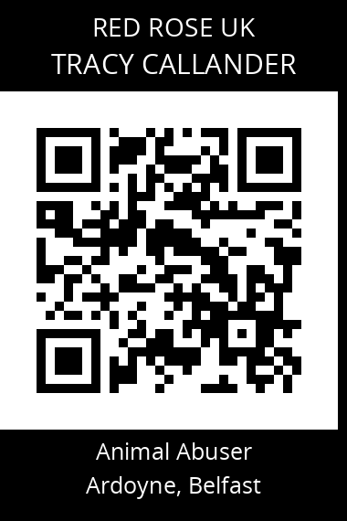 QR code for tracy-callander