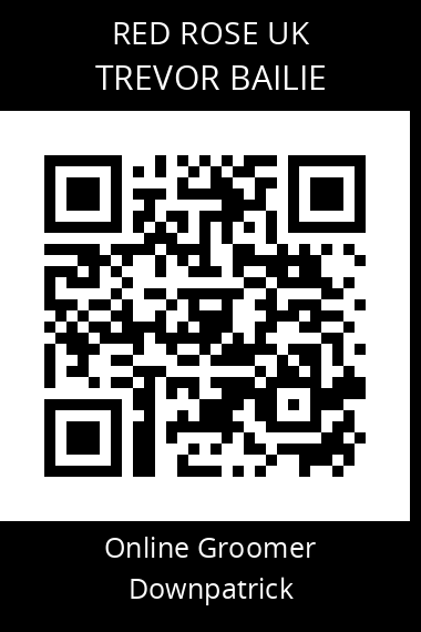 QR code for trevor-bailie