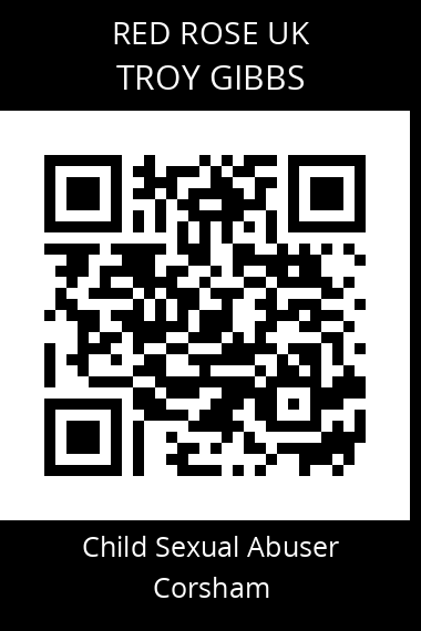 QR code for troy-gibbs-2