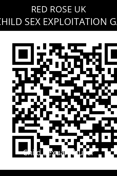 QR code for tyneside-child-sex-exploitation-gang-jailed