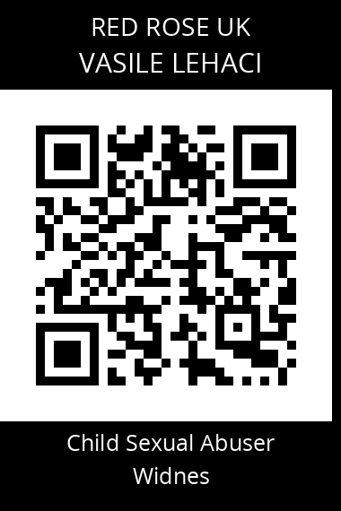 QR code for vasile-lehaci