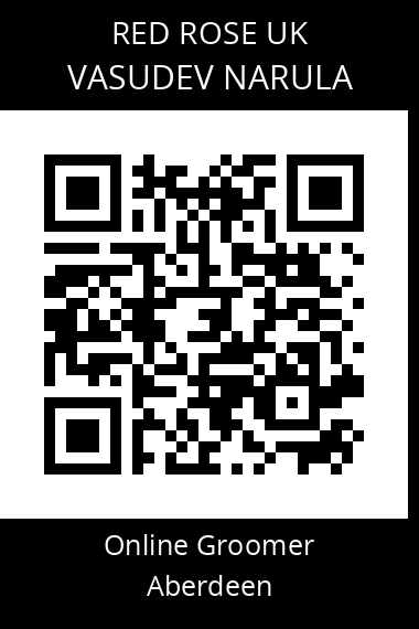 QR code for vasudev-narula