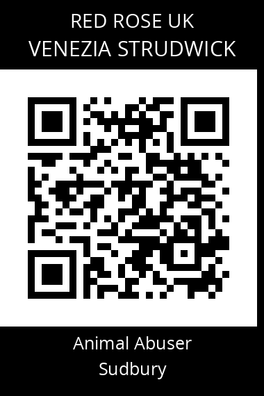 QR code for venezia-strudwick