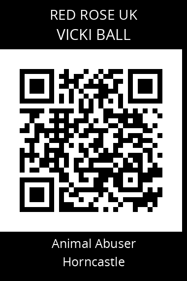 QR code for vicki-ball