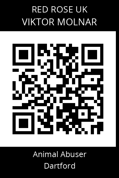 QR code for viktor-molnar