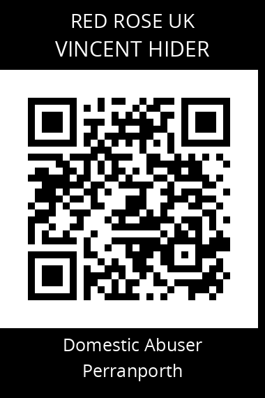 QR code for vincent-hider