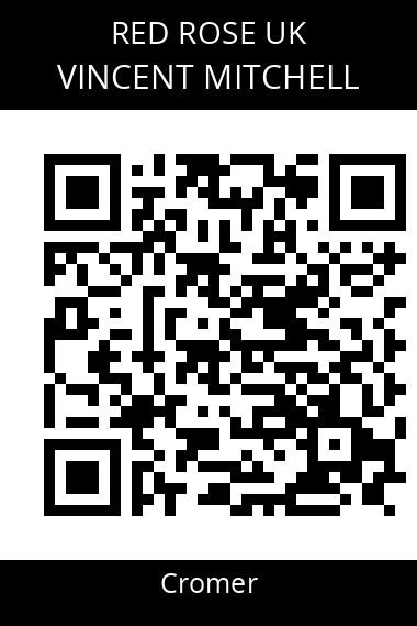 QR code for vincent-mitchell-2