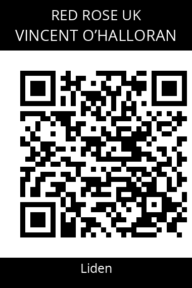 QR code for vincent-ohalloran-1