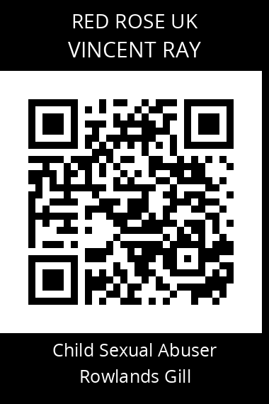 QR code for vincent-ray