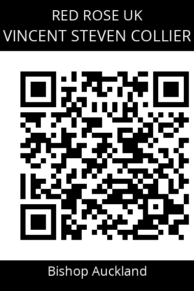 QR code for vincent-steven-collier
